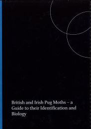 British & Irish Pug Moths