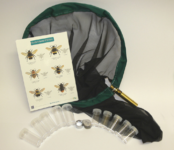 Insect identification kits