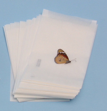 Large envelopes 180mmx130mm